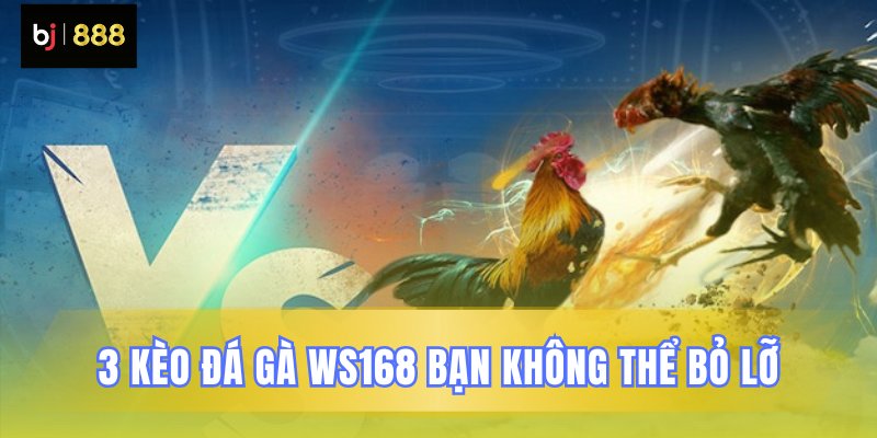 Ba loại cược đá gà WS168 đặc sắc Ba loại cược đá gà WS168 đặc sắc