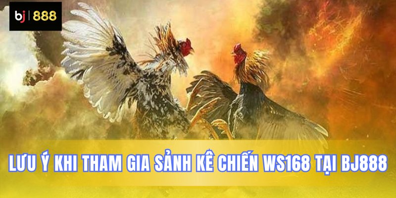 Điều cần biết khi chơi WS168 BJ888 Điều cần biết khi chơi WS168 BJ888