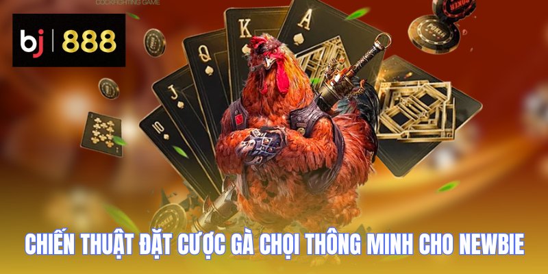 Đá Gà Thomo - Sân Chơi Cá Cược Trực Tiếp Uy Tín 3 Ban sao cua Ban sao cua Ban sao cua Ban sao cua Ban sao cua vn168.fun