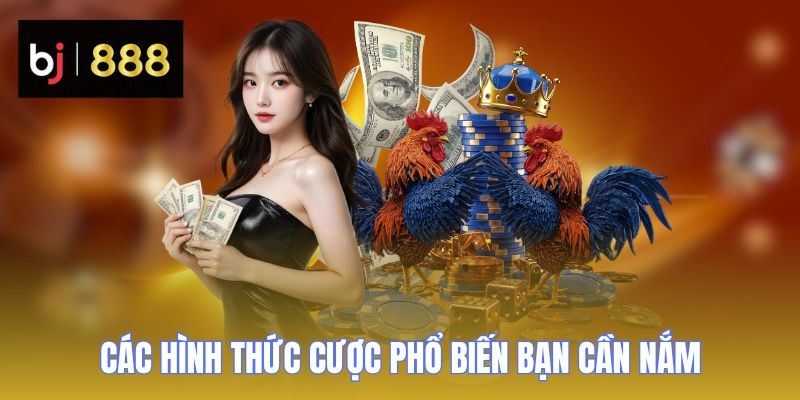 Đá Gà Cựa Dao - Thể Loại Thú Vị Với Nhiều Trận Đấu Hay 2 da ga cua dao hinh thuc cuoc 3