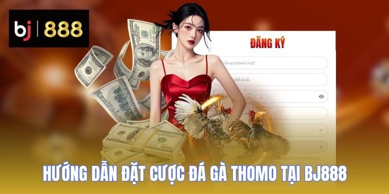 Đá Gà Thomo - Sân Chơi Cá Cược Trực Tiếp Uy Tín 2 da ga thomo huong dan dat cuoc
