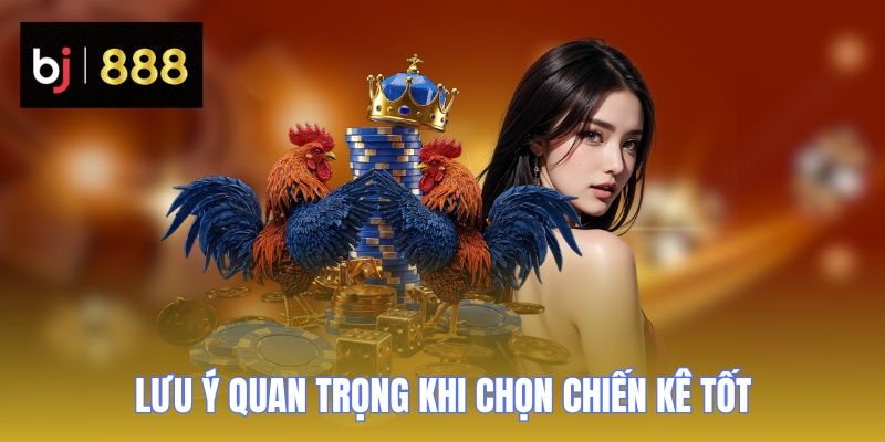 Xem Tướng Gà Chọi - Bí Quyết Chọn Chiến Kê Đẳng Cấp 3 xem tuong ga choi luu y