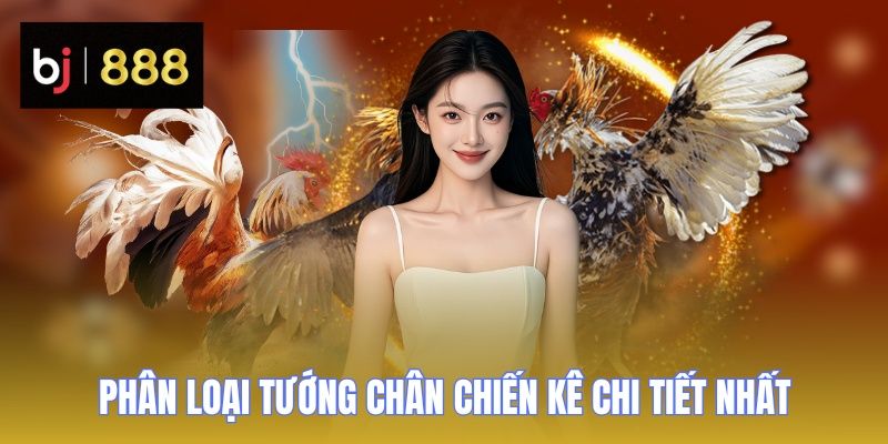 Xem Tướng Gà Chọi - Bí Quyết Chọn Chiến Kê Đẳng Cấp 2 xem tuong ga choi phan loai