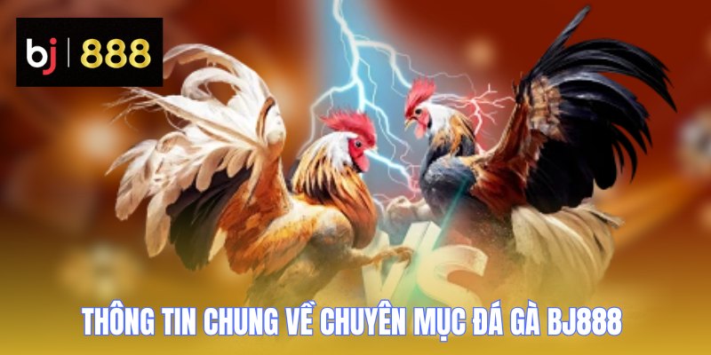 Đá Gà BJ888 - Khám Phá Các Loại Hình Chọi Kê Kịch Tính 1 da ga bj888 thong tin