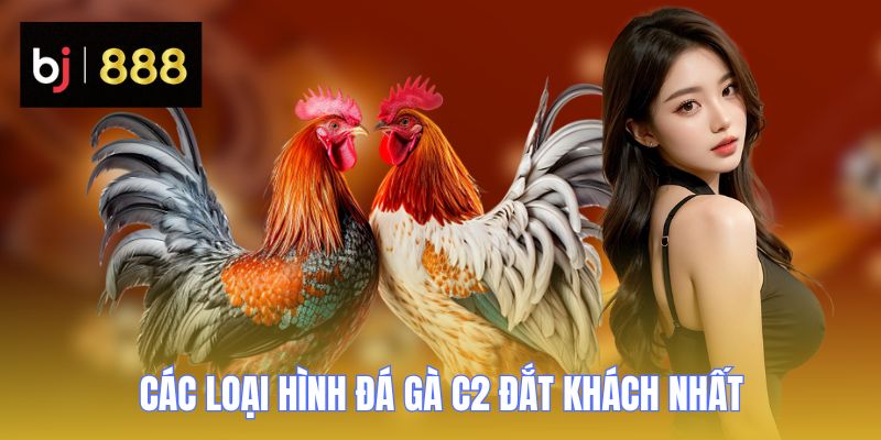 Đá Gà C2 BJ888 - Đỉnh Cao Trình Diễn Của Danh Kê Xuất Chúng 2 da ga c2 cac loai hinh
