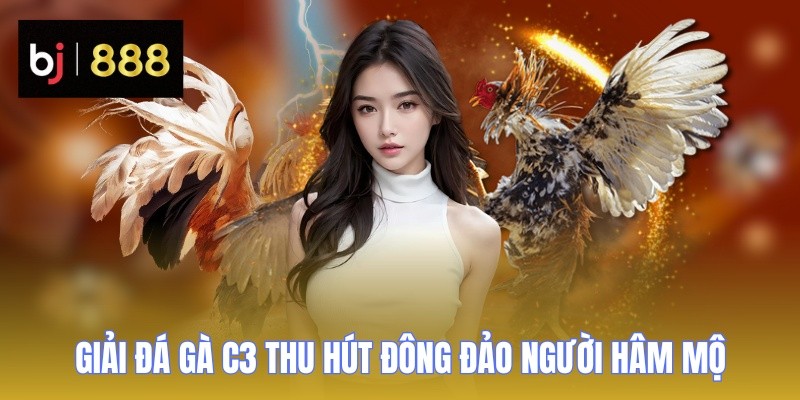 Đá Gà C3 BJ888 - Giải Đấu Kịch Tính, Cược Ngay Thắng Lớn 1 da ga c3 thu hut