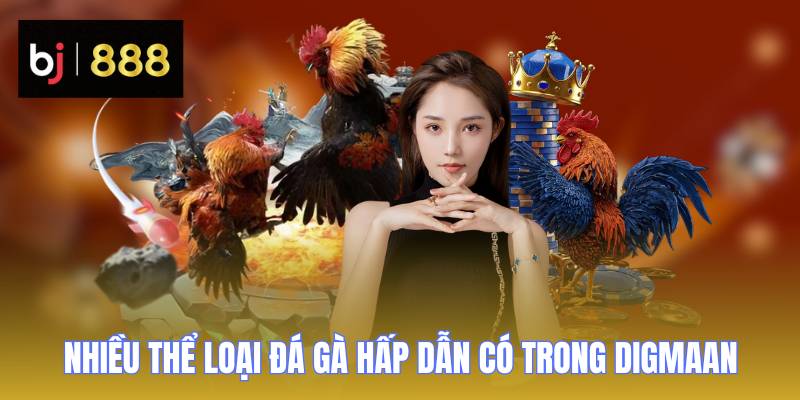 Sảnh Digmaan - Thiên Đường Giải Trí Giúp Bạn Nhận Quà Khủng 3 sanh digmaan nhieu the loai